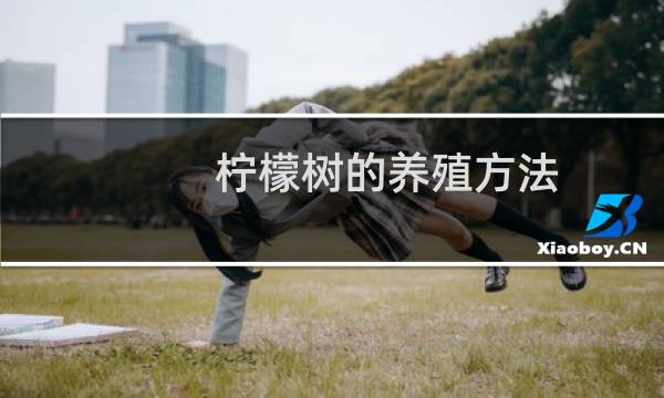 柠檬树的养殖方法