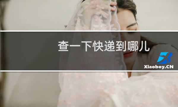 查一下快递到哪儿