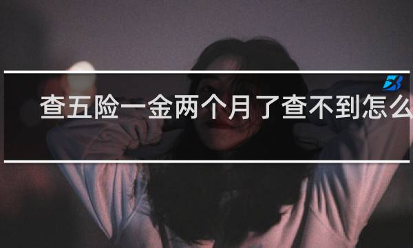 查五险一金两个月了查不到怎么办