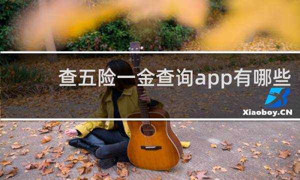 查五险一金查询app有哪些
