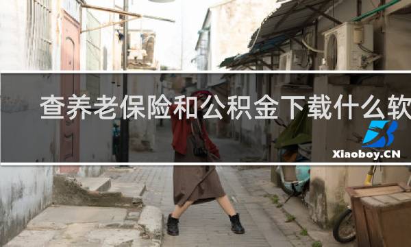 查养老保险和公积金下载什么软件