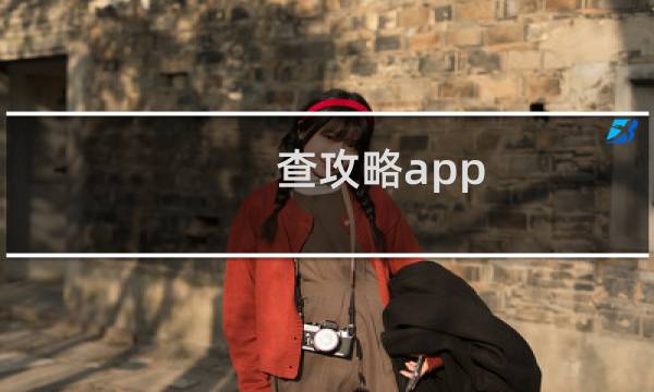 查攻略app