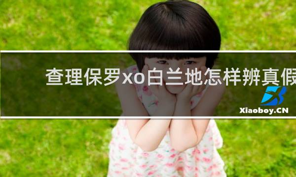 查理保罗xo白兰地怎样辨真假