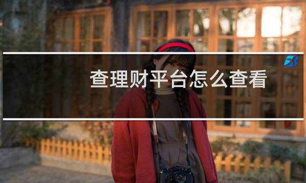 查理财平台怎么查看