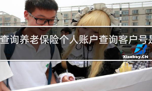 查询养老保险个人账户查询客户号是什么
