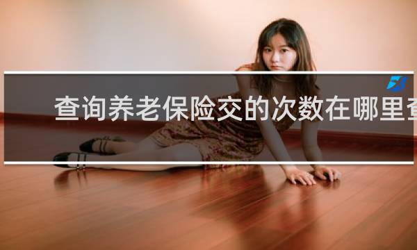 查询养老保险交的次数在哪里查