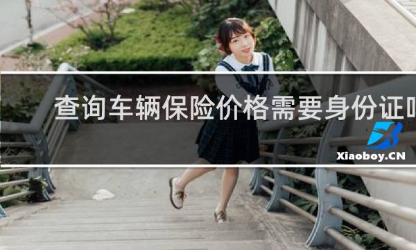 查询车辆保险价格需要身份证吗