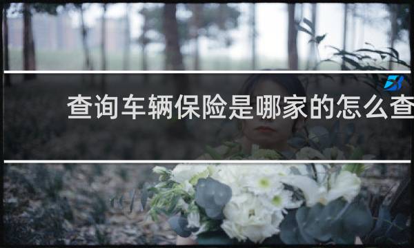 查询车辆保险是哪家的怎么查