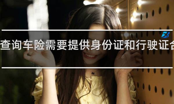 查询车险需要提供身份证和行驶证合法吗