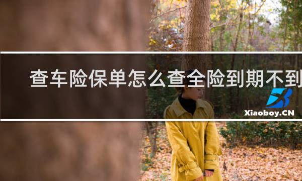 查车险保单怎么查全险到期不到期