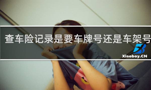 查车险记录是要车牌号还是车架号准备