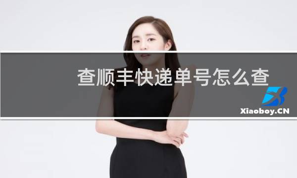查顺丰快递单号怎么查