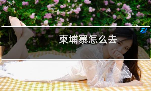 柬埔寨怎么去