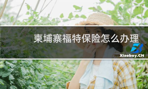柬埔寨福特保险怎么办理