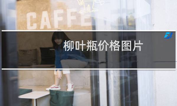 柳叶瓶价格图片
