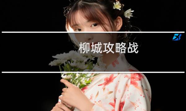 柳城攻略战