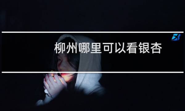柳州哪里可以看银杏