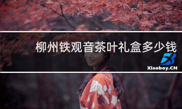 柳州铁观音茶叶礼盒多少钱