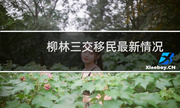 柳林三交移民最新情况