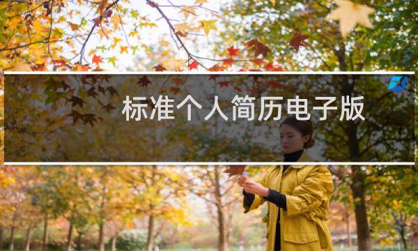 标准个人简历电子版