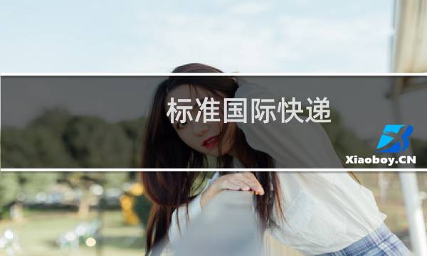 标准国际快递