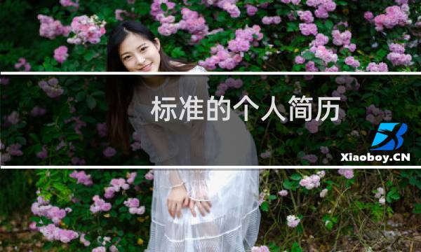 标准的个人简历