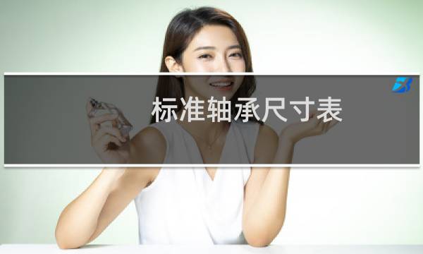 标准轴承尺寸表