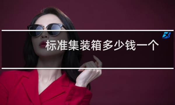 标准集装箱多少钱一个