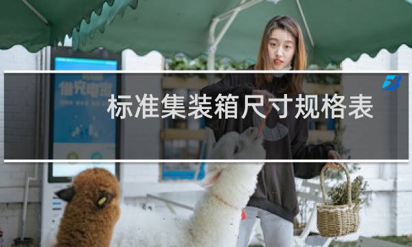 标准集装箱尺寸规格表