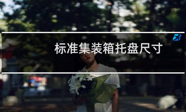 标准集装箱托盘尺寸