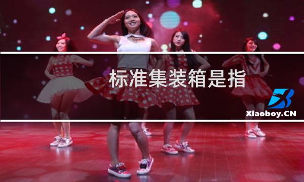 标准集装箱是指