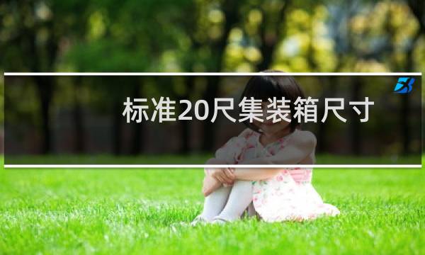 标准20尺集装箱尺寸