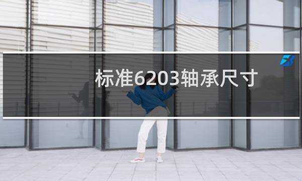 标准6203轴承尺寸