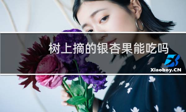 树上摘的银杏果能吃吗