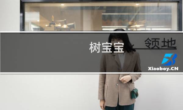 树宝宝 攻略