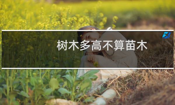 树木多高不算苗木