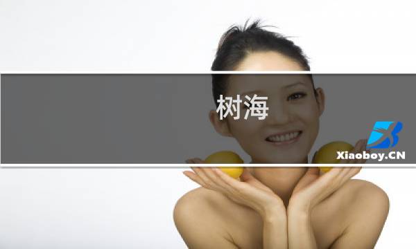 树海 图文攻略