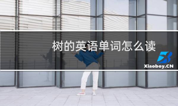 树的英语单词怎么读