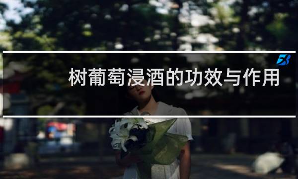 树葡萄浸酒的功效与作用