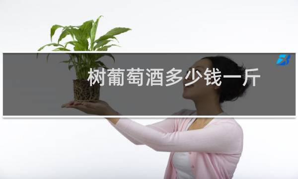 树葡萄酒多少钱一斤
