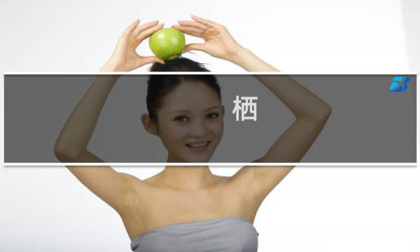栖 3 攻略