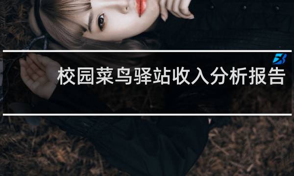 校园菜鸟驿站收入分析报告
