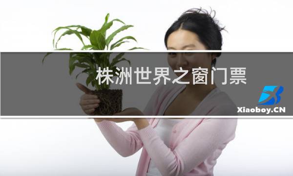 株洲世界之窗门票