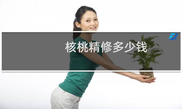 核桃精修多少钱