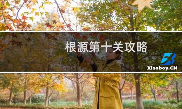 根源第十关攻略