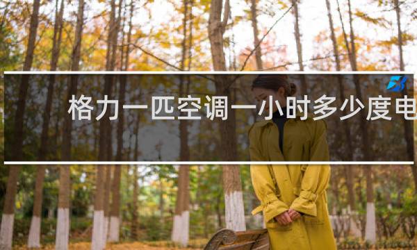 格力一匹空调一小时多少度电