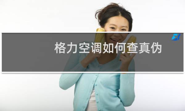 格力空调如何查真伪