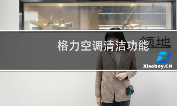 格力空调清洁功能
