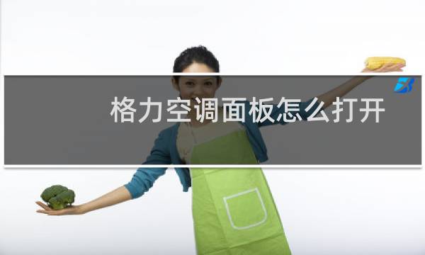 格力空调面板怎么打开