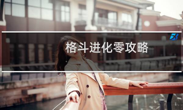 格斗进化零攻略